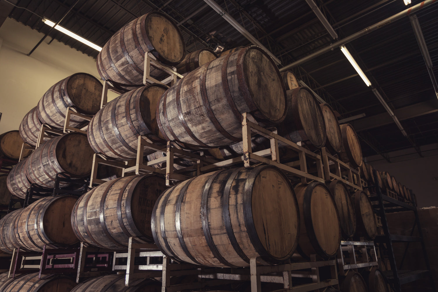 The Evolution of Side Project Side Project Brewing