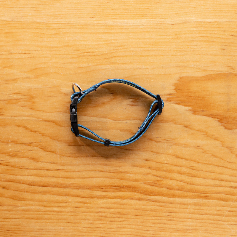 Side Project Dog Collar